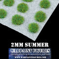2mm Summer Random/Wild Self Adhesive Static Grass Tufts