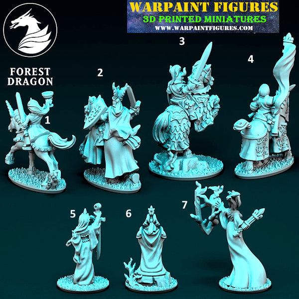 10mm Chivalric Knights Generals Characters & Heroes