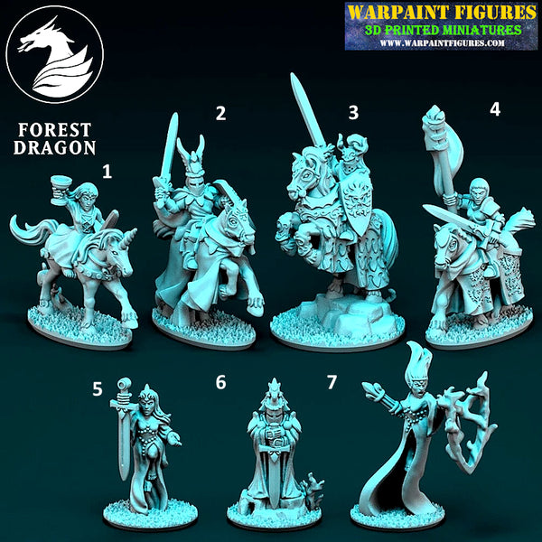 10mm Chivalric Knights Generals Characters & Heroes