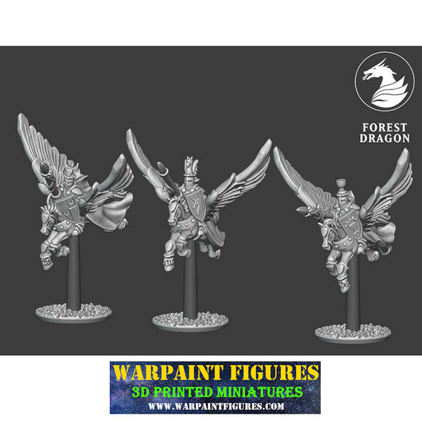 10mm Pegasus Knights