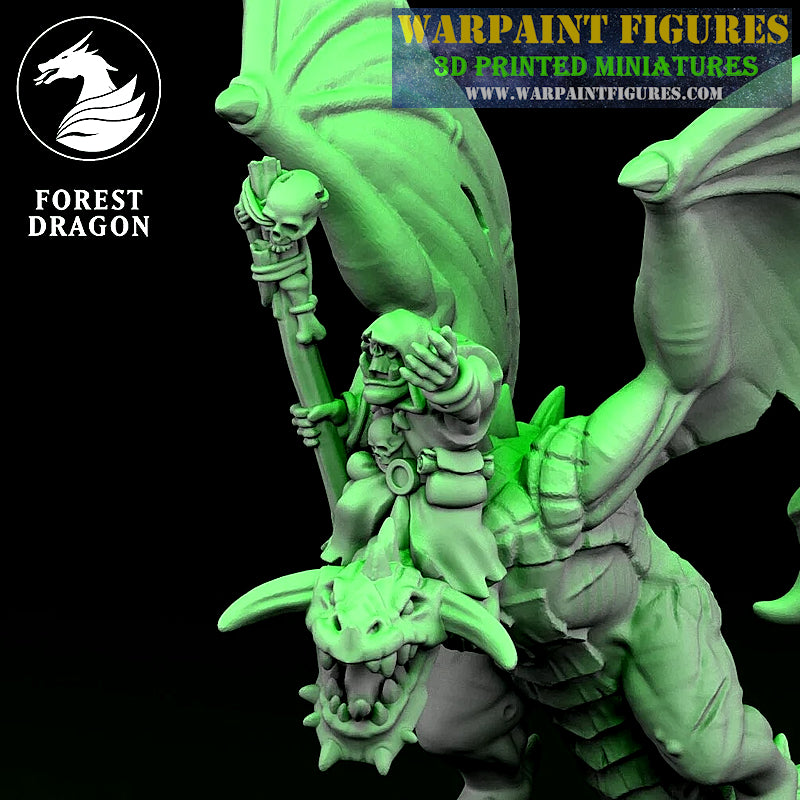 10mm Orc Shaman On Wyvern