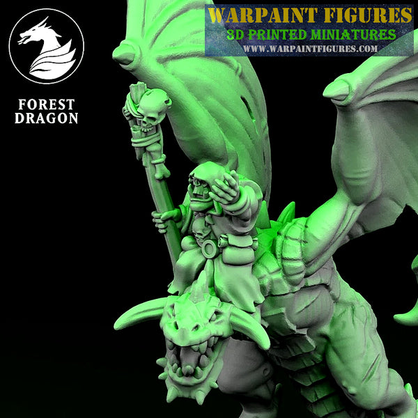 10mm Orc Shaman On Wyvern