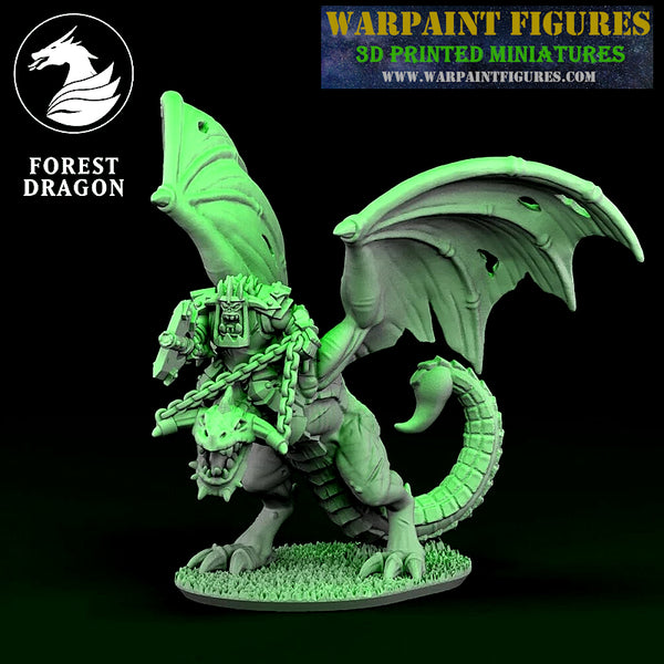 10mm Orc Hero On Wyvern