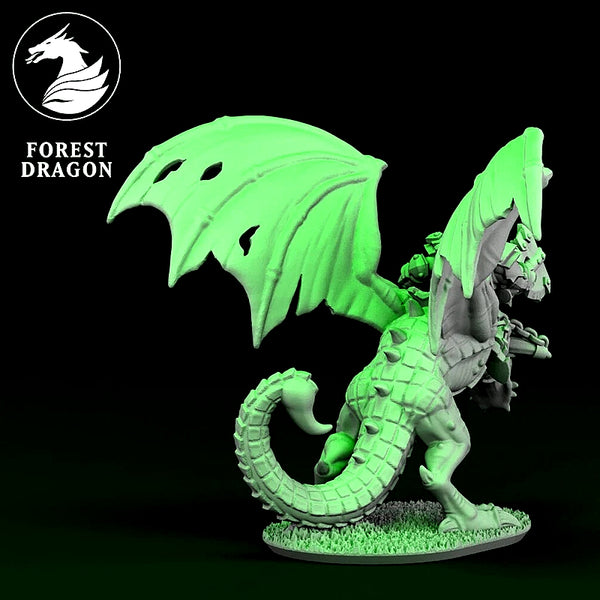 10mm Orc Hero On Wyvern
