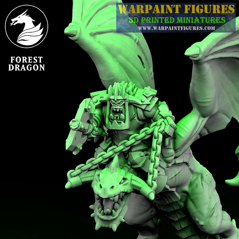 10mm Orc Heroes On Wyverns
